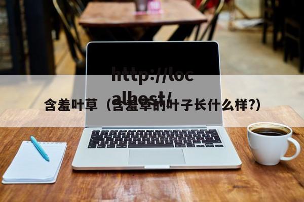 含羞叶草(含羞草的叶子长什么样?)